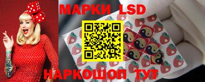 гидра Ставрополь
