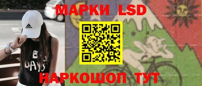 гидра Ставрополь