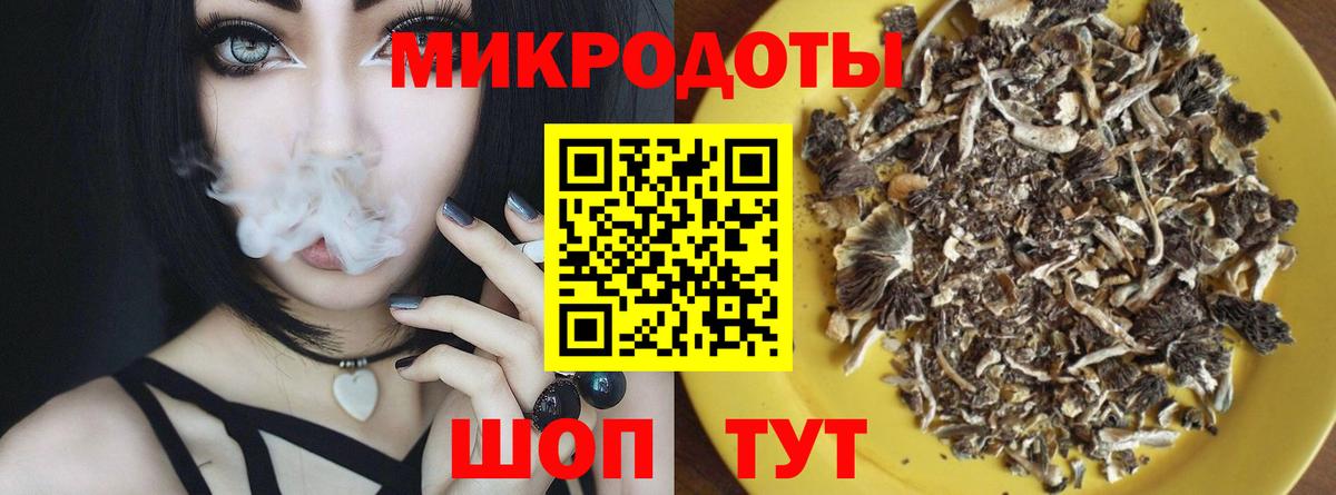 Галлюциногенные грибы мухоморы Нерюнгри